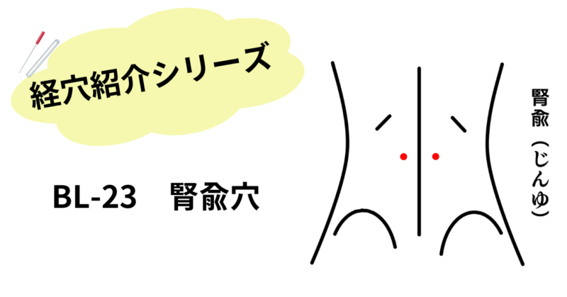 腰のツボ”腎兪”について紹介